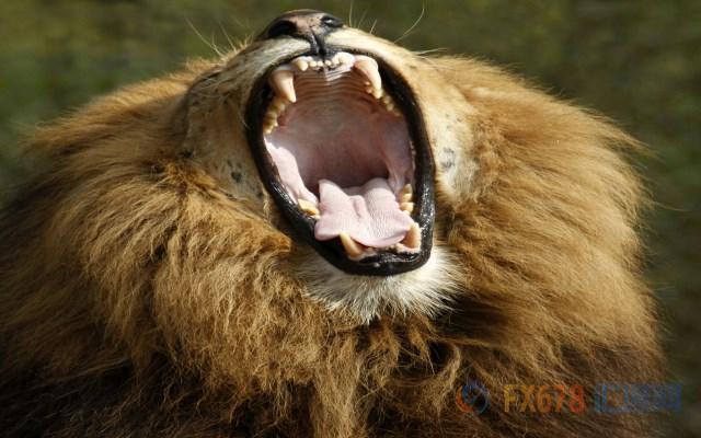 外汇期货股票比特币交易