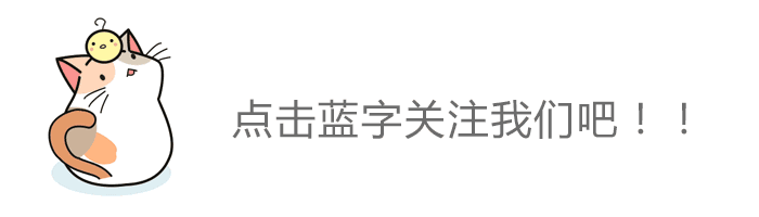 小猫gif动图引导关注