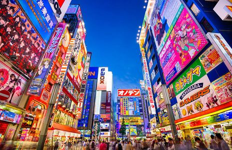外汇EA期货股票比特币交易