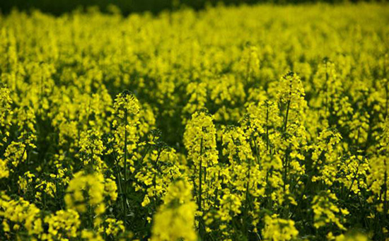 1490649795733890.jpg 2019/1490649795733890.jpg