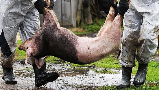 1535526742533745.jpg 153551344133855600_a580<em></em>x330.jpg