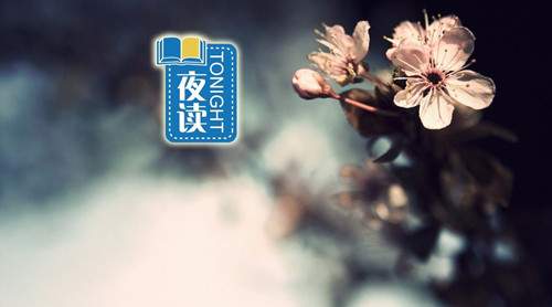 1539112044921731.jpg 20170213100258151_副本.jpg