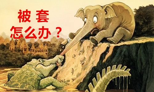 95d565ef66e7dff9 (9).jpg