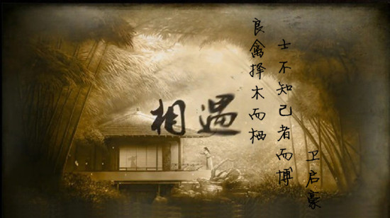 外汇EA期货股票比特币交易