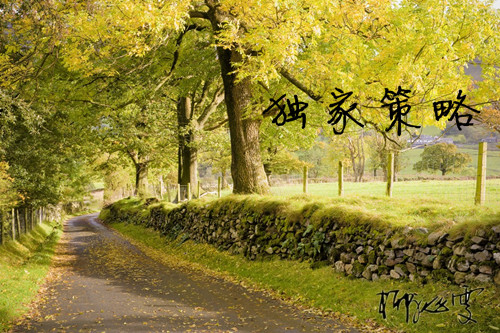 外汇EA期货股票比特币交易