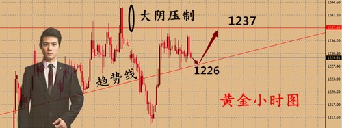 图片11.7_副本.jpg