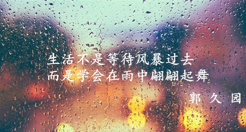 外汇EA期货股票比特币交易