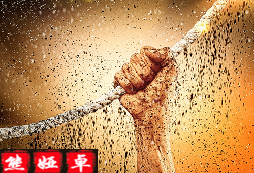 1543805683818797.png 5aefbc3f8327e_副本.png