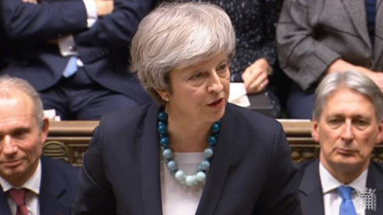 1547604618521192.jpg 特蕾莎1梅.jpg