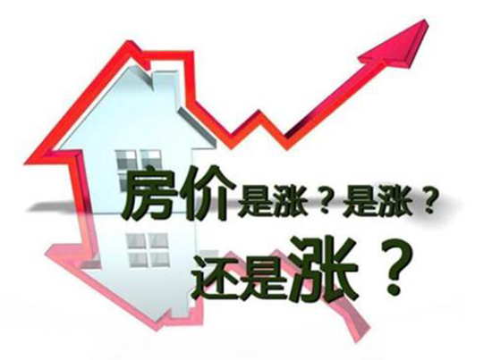 1551087558336660.jpg gf rfg.jpg