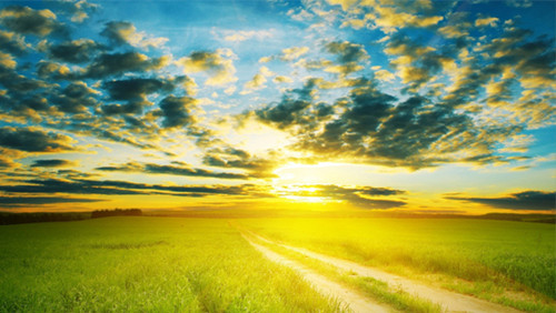 1552345340147124.jpg ,,55.jpg