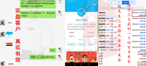 外汇EA期货股票比特币交易