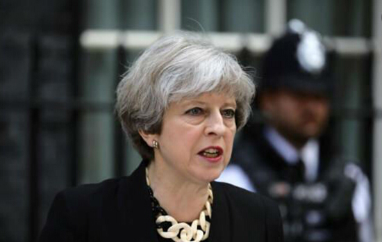 1553496534152537.jpg 欧盟 梅姨.jpg