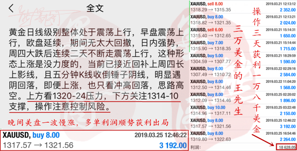 外汇EA期货股票比特币交易