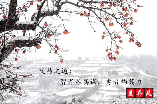 外汇EA期货股票比特币交易