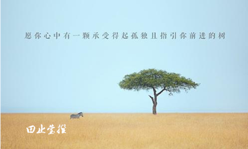 外汇EA期货股票比特币交易