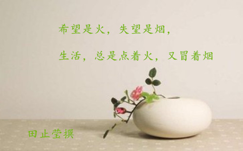 1557148090474527.jpg 希望是火.jpg