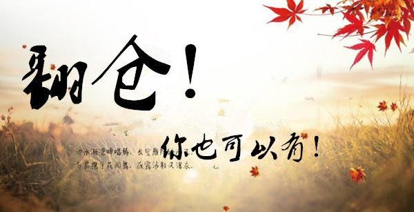 外汇EA期货股票比特币交易