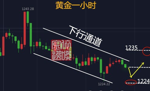 10.31无广告.jpg