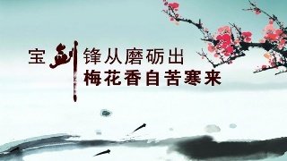 t0195750bf8a9284edf.jpg