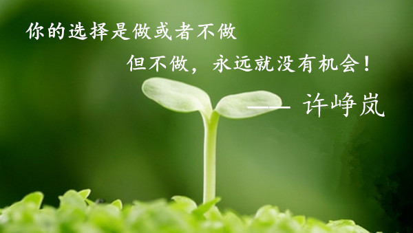 外汇EA期货股票比特币交易