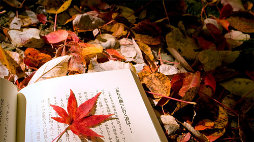 外汇EA期货股票比特币交易