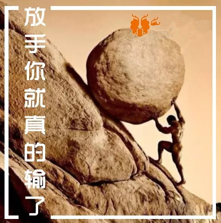730.webp_副本.jpg