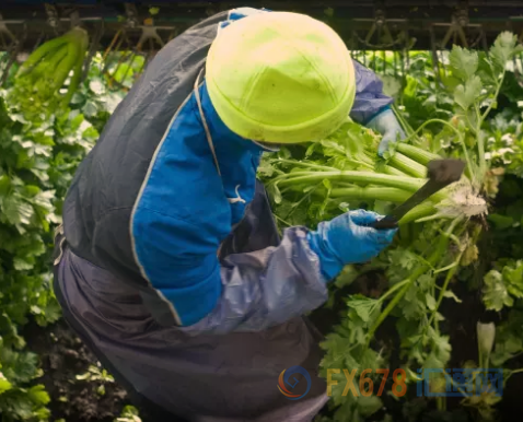 外汇EA期货股票比特币交易